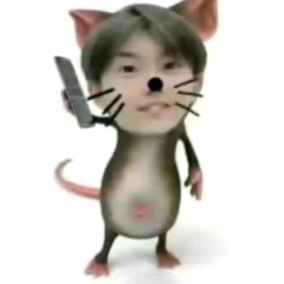 🐭➕7