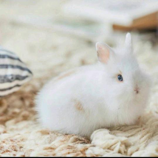 爱过以后