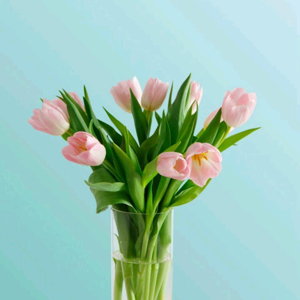 雨中情