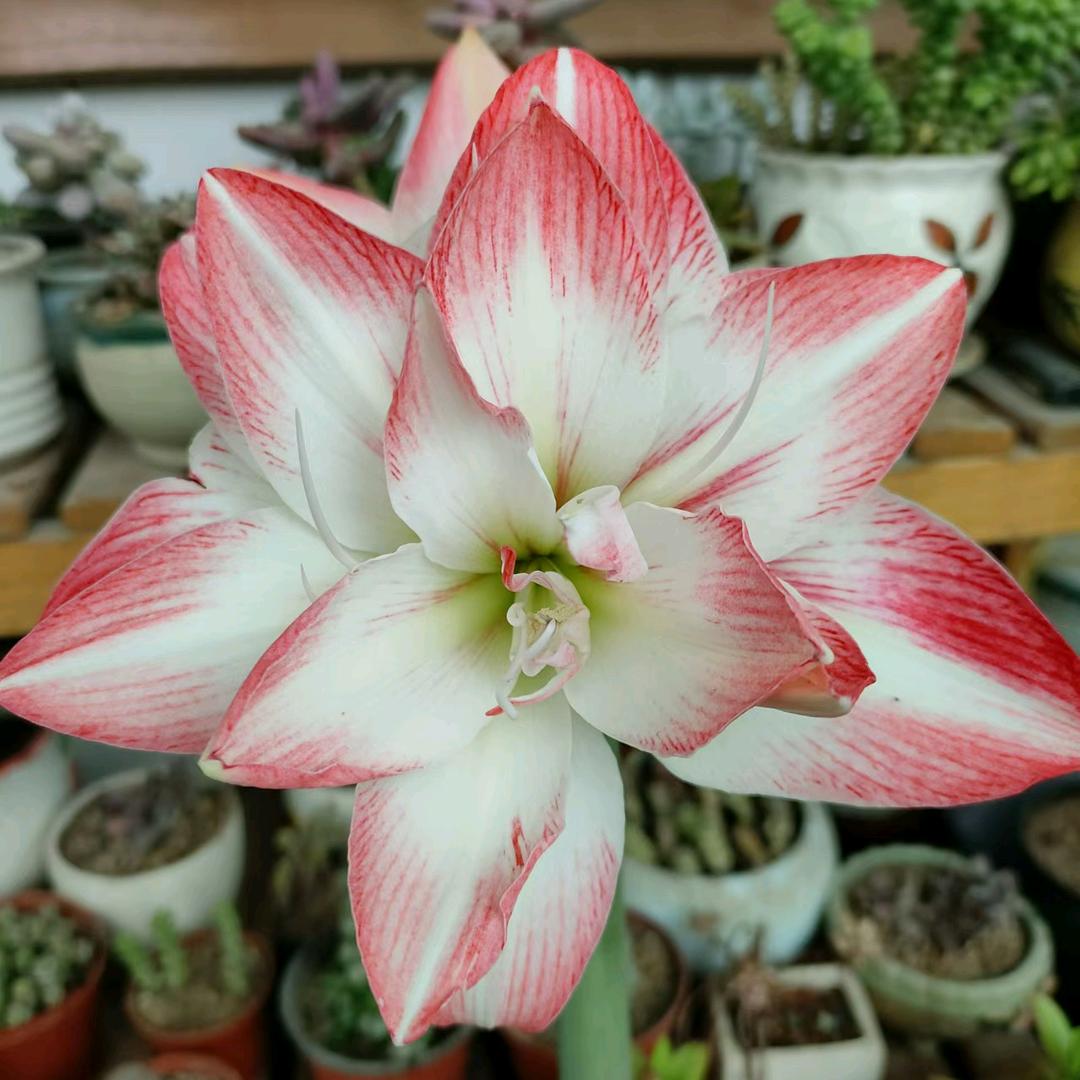 老婆她亲我💋💋💋