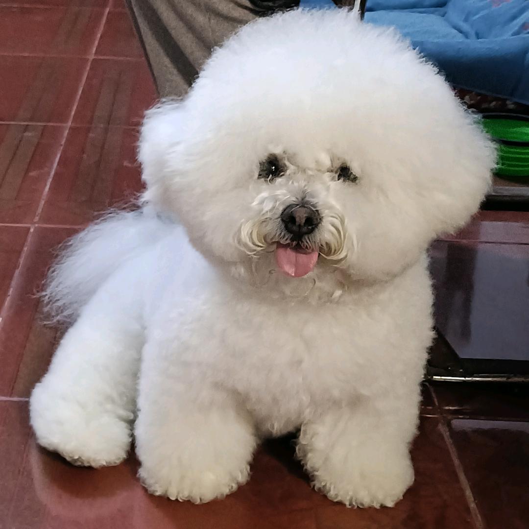 嘟嘟的姐姐