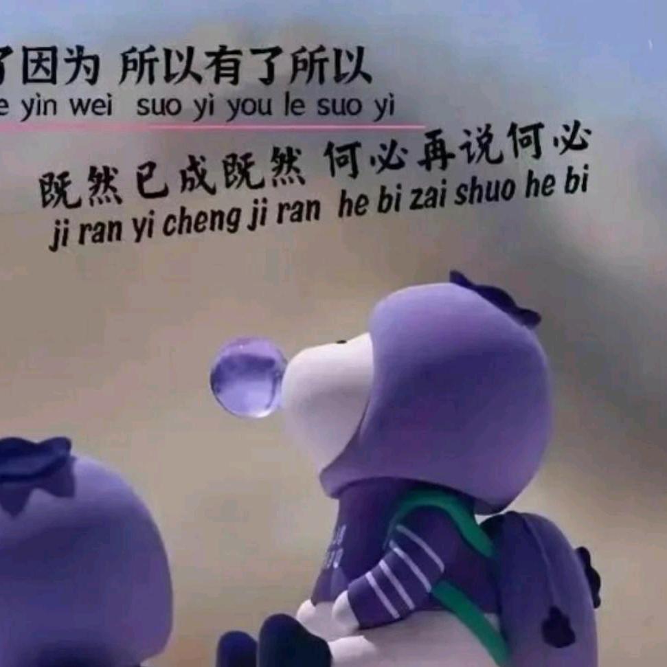 ᭄余生ᝰᩚ随心ꦿ