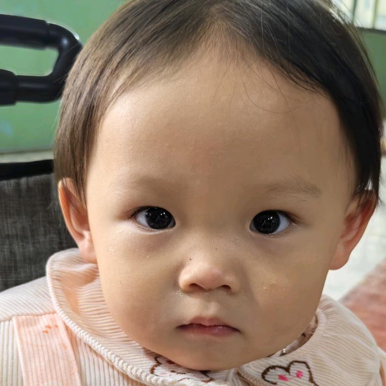 鱼弋