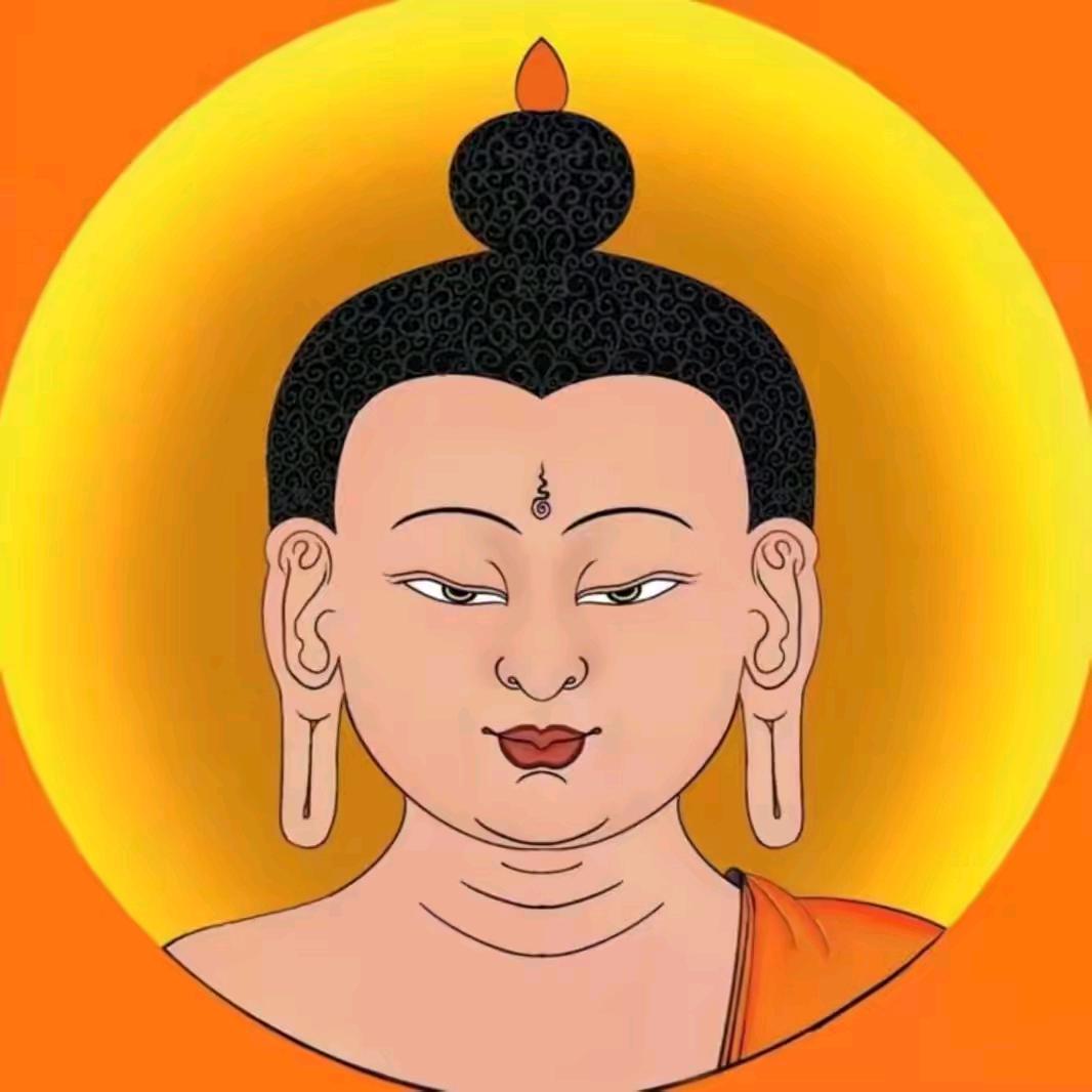 尹译晨