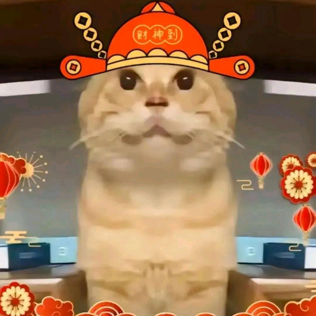 不想读研版