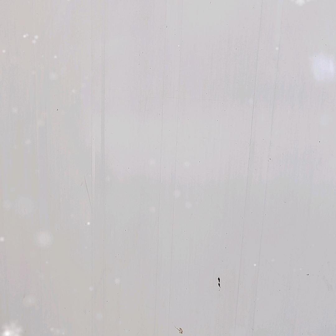 海月阳光