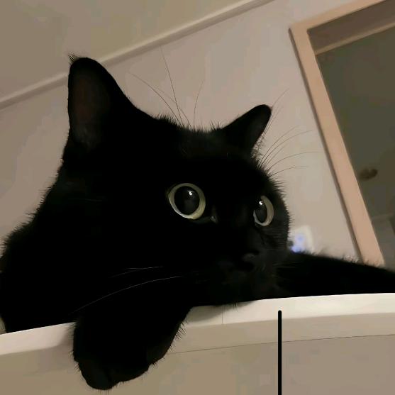小黑