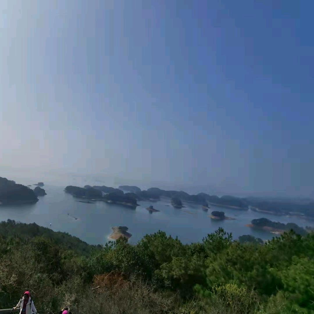 锦鲤锦鲤来我这里