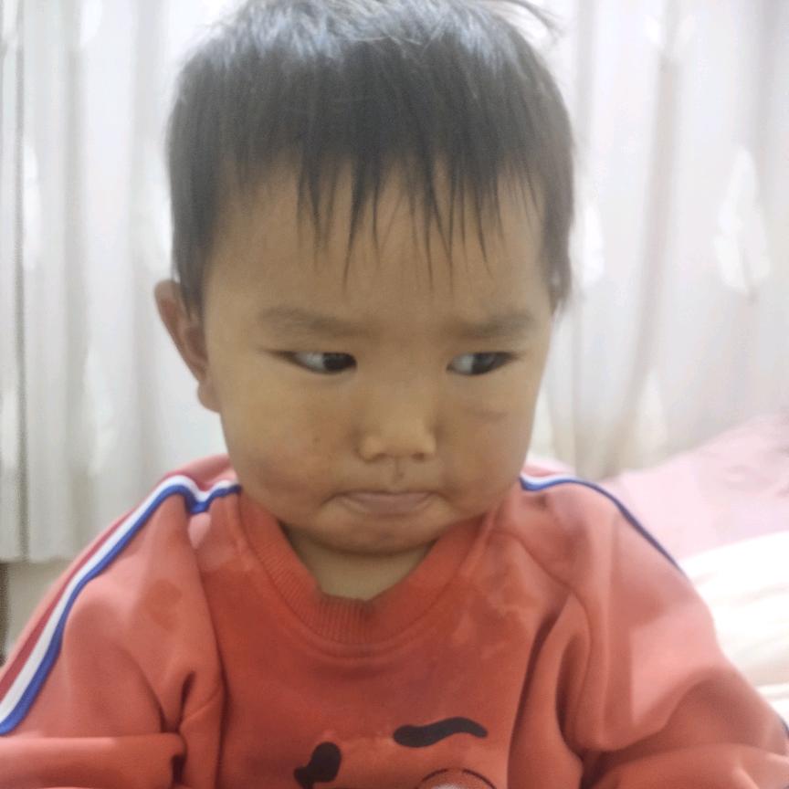 学老表家的大苹果