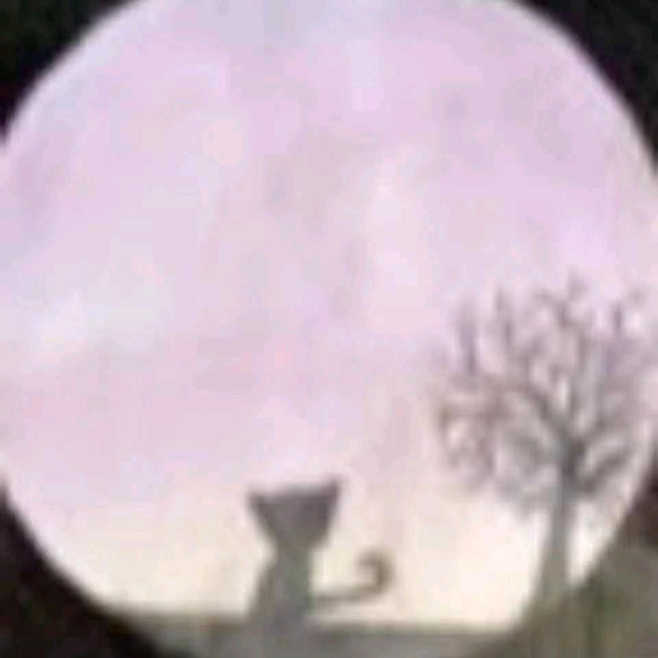 北京华建之源～张静