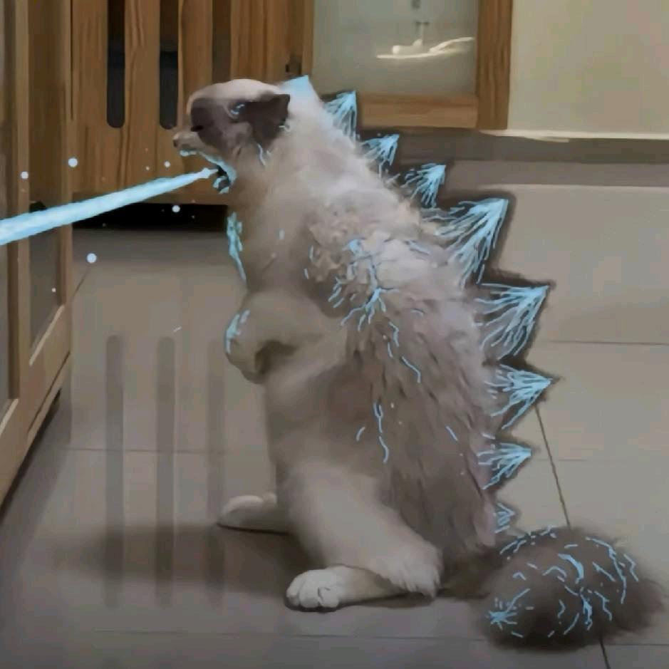 猛踹瘸子那条好腿，然后就对称了