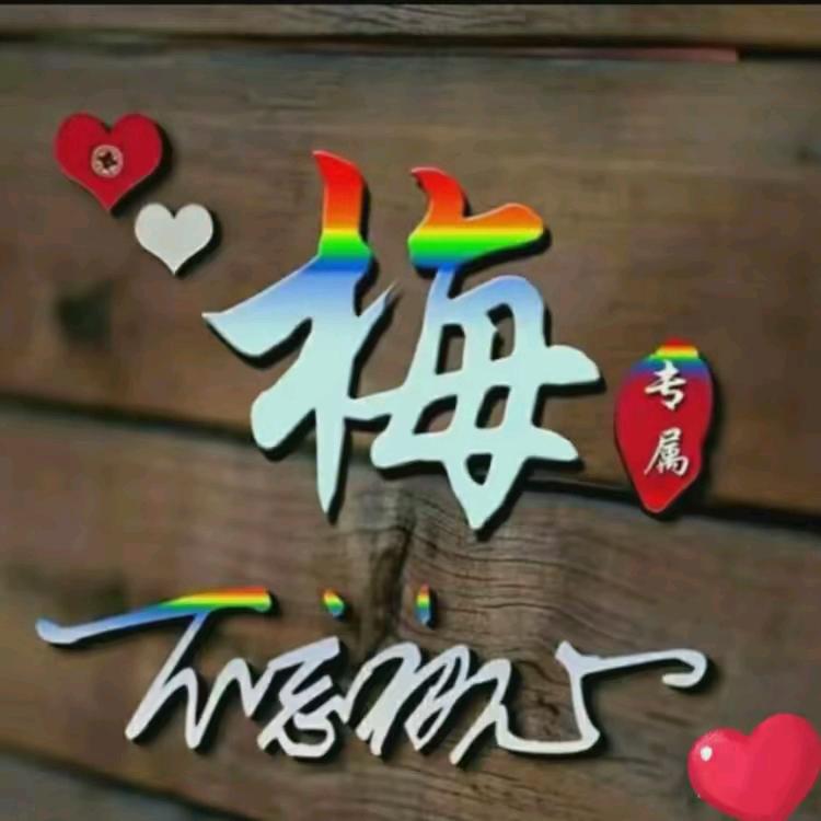 宋亚梅