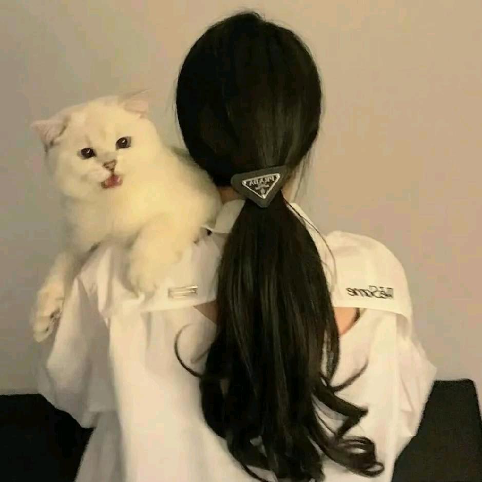 凉笙
