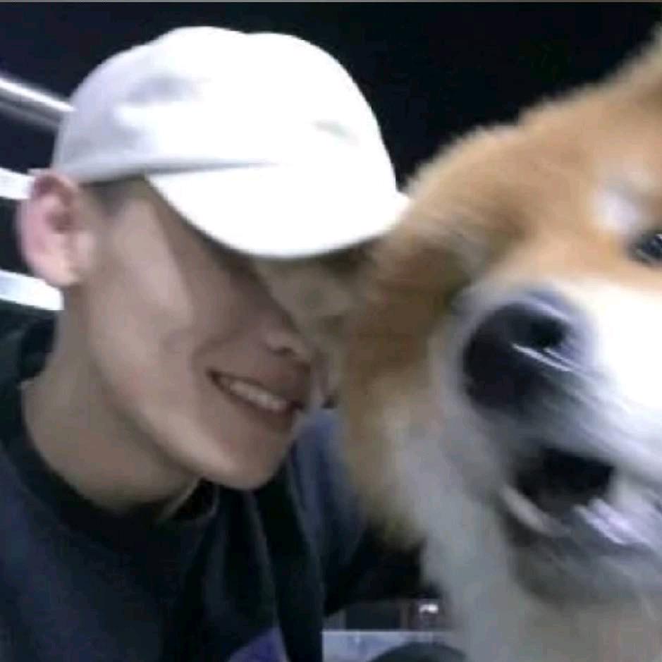 雾会散.