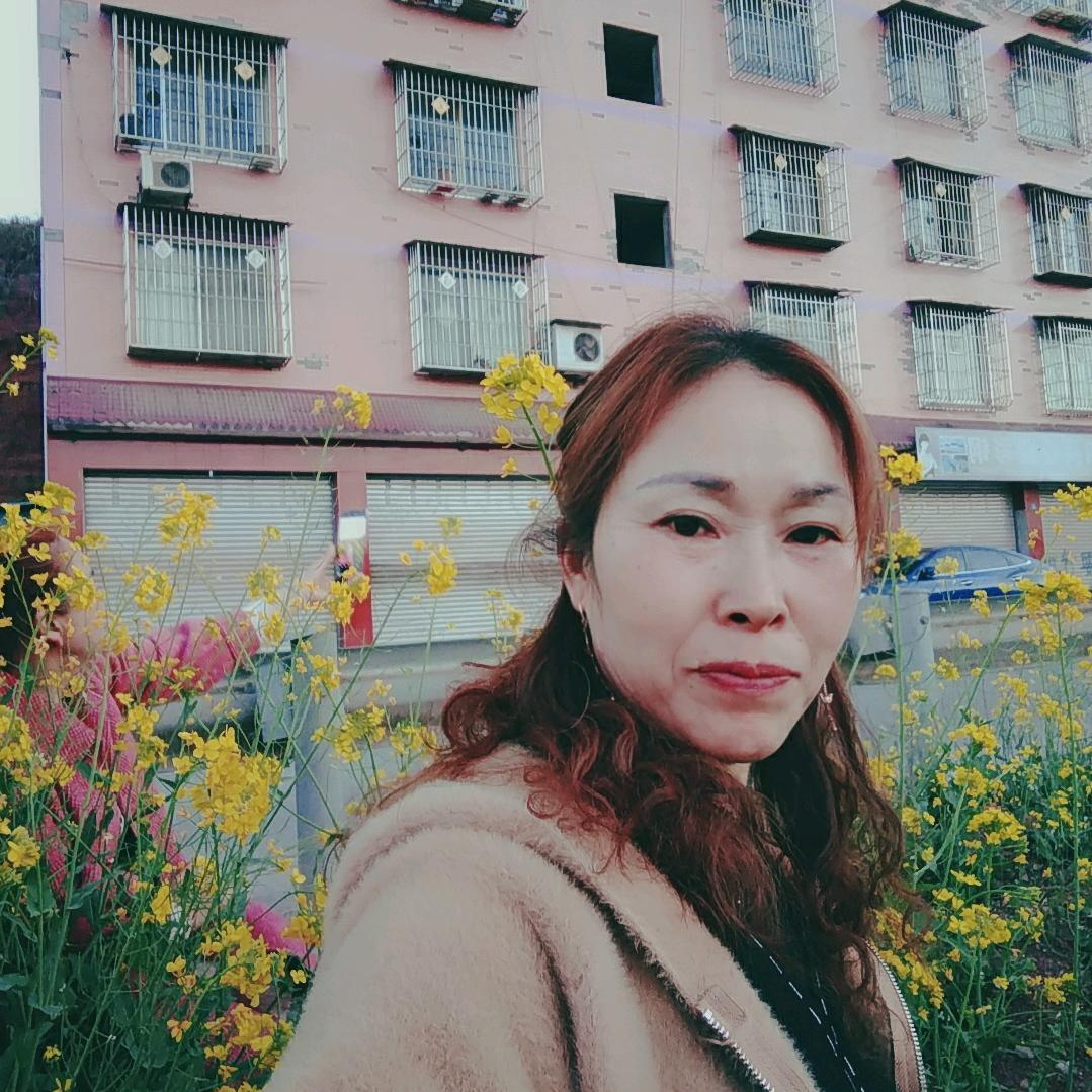 回忆的梦