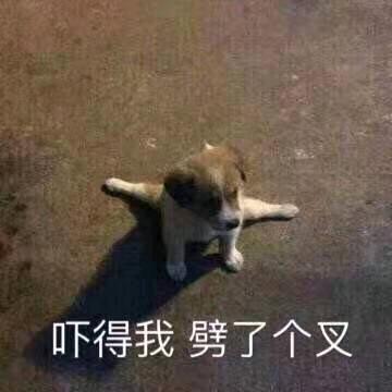 天天天天天