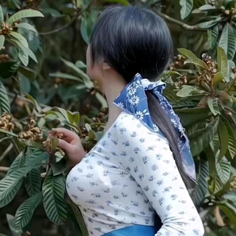 大自然的搬运工