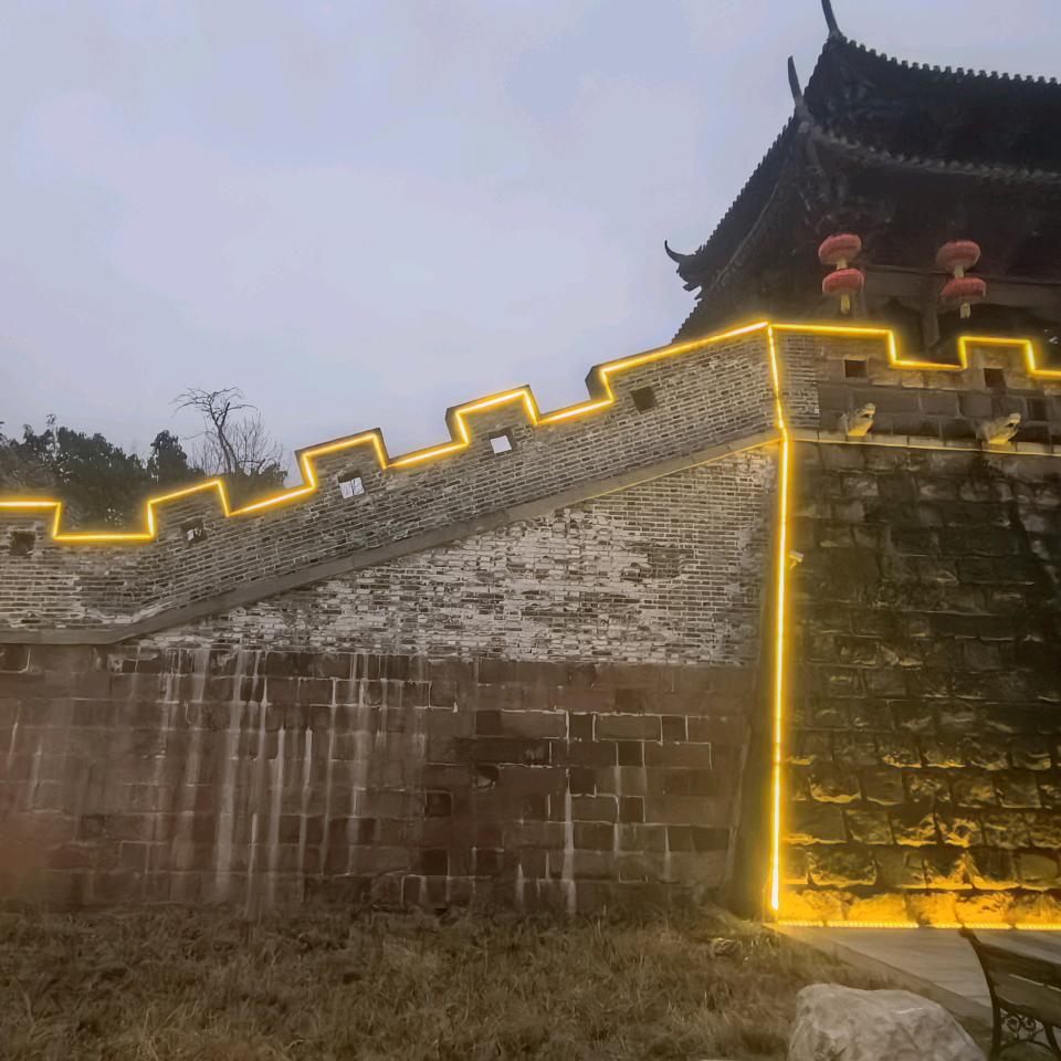 振翅高飞