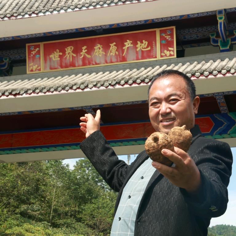 酒都李二哥溯天麻