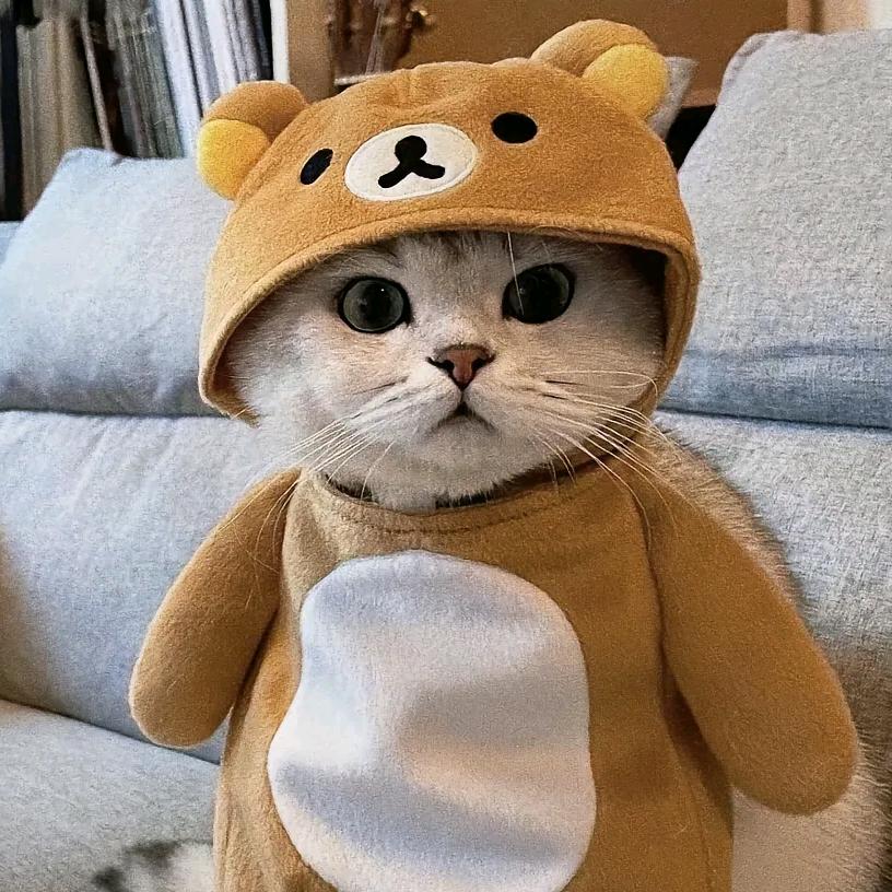 唯一笑