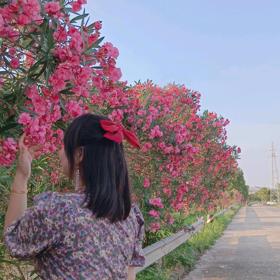 唐三七