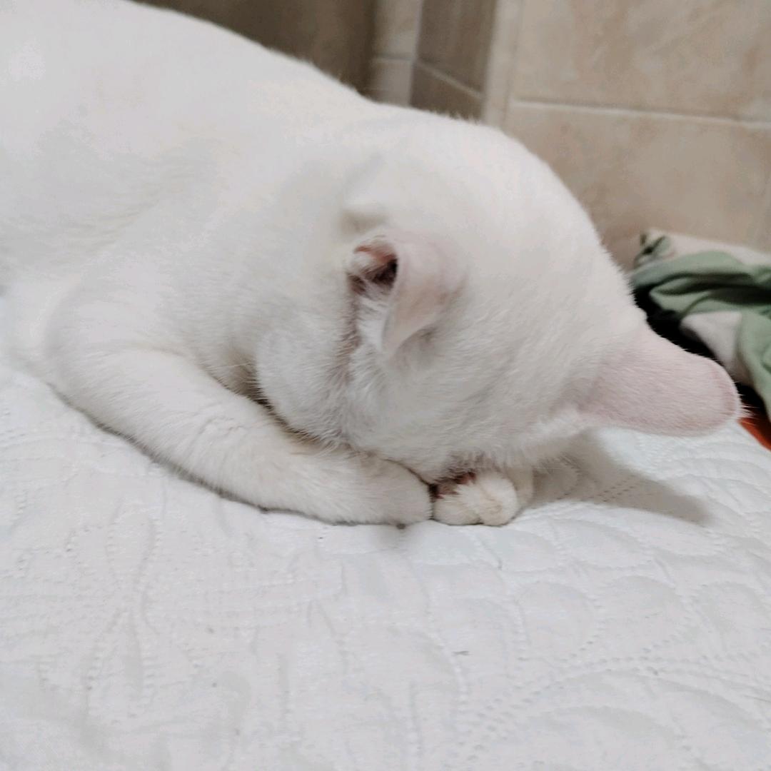 晚风吹起
