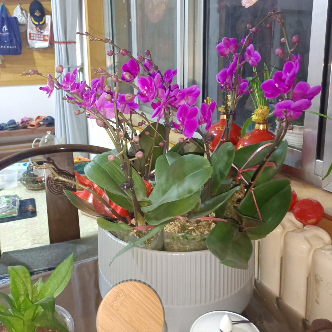 六哥美食甄选好物