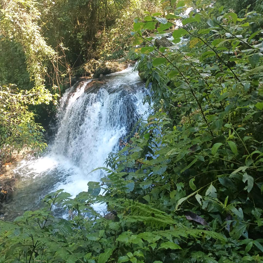 老农民👨🏻‍🌾👨🏻‍🌾