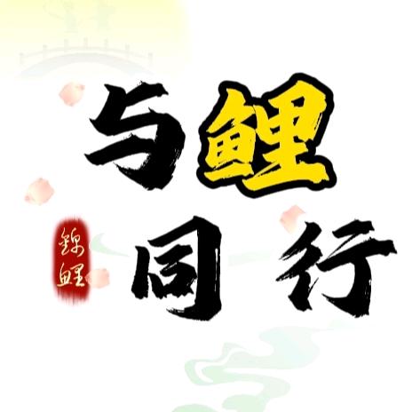 与鲤同行锦鲤老杜-锦鲤治鱼届天花板杜院长
