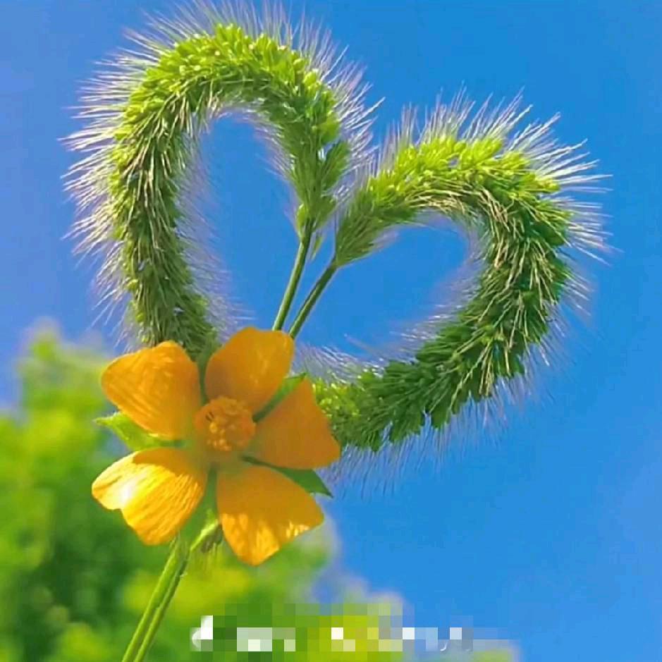 淄博汇鑫石材