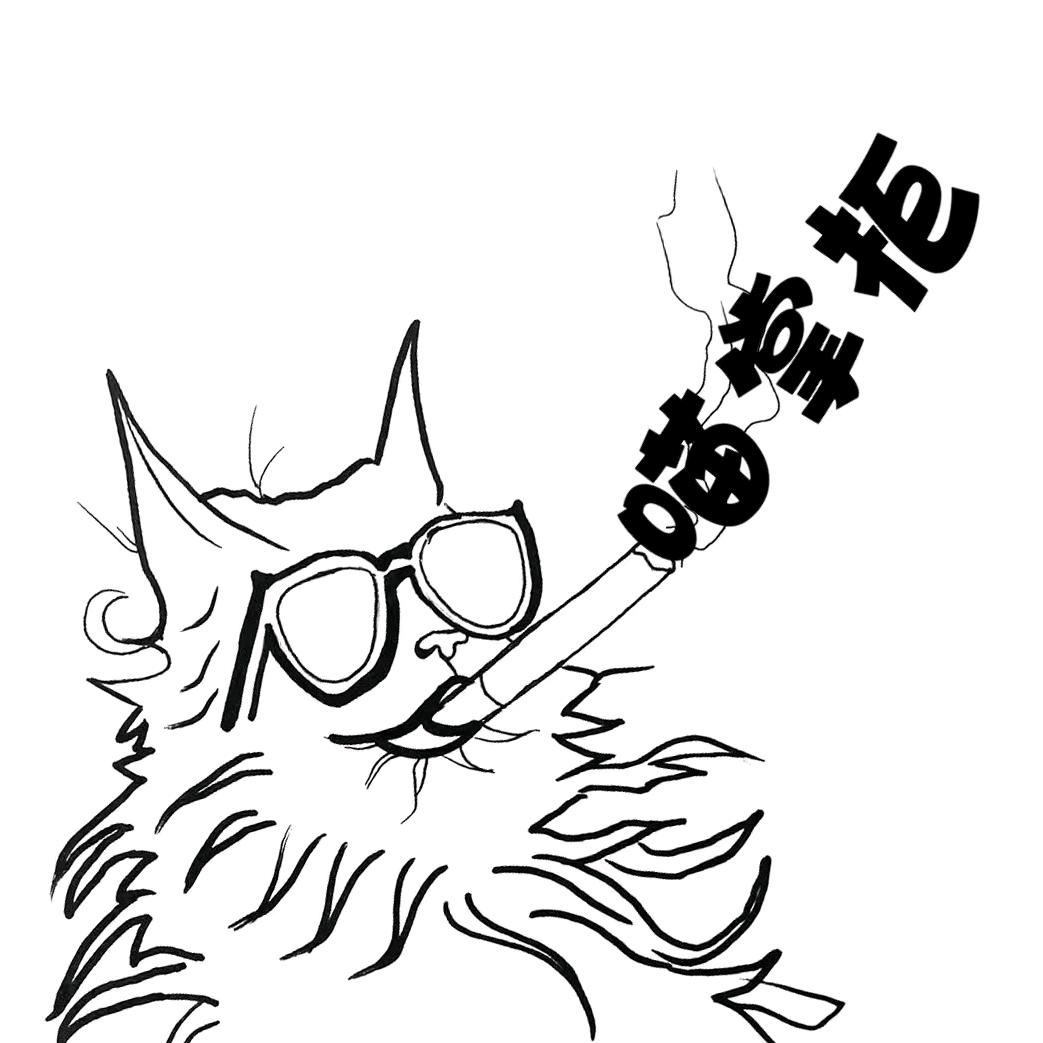 龙少宠物用品供应链
