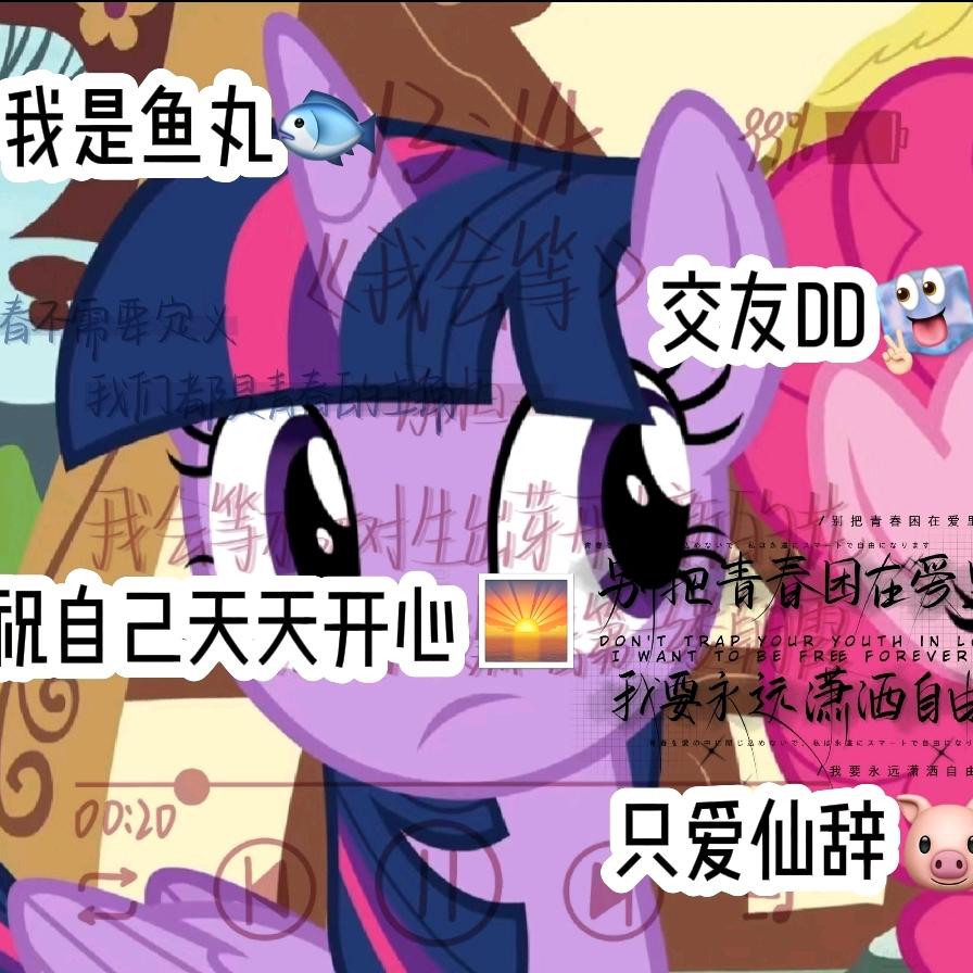 _💤鱼丸🐟