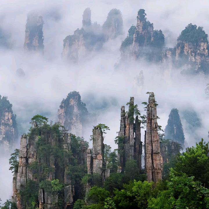 ℒoᩚꪜ一览💖众山小꧔ꦿ᭄⁵²⁰࿐ᩚ