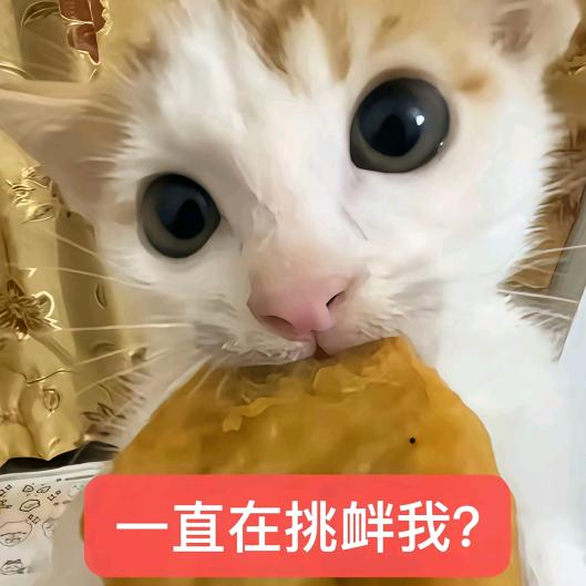 waitme_Qs