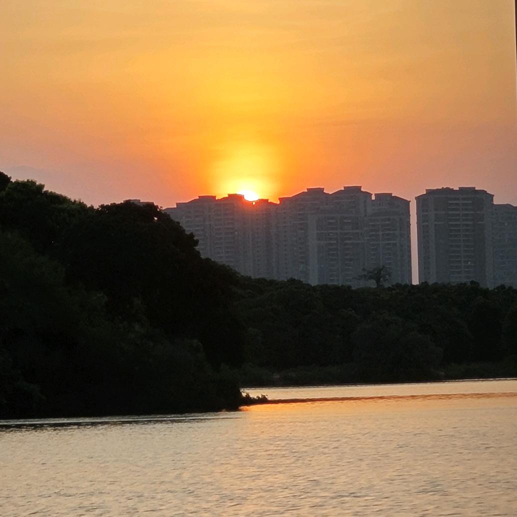 什么星