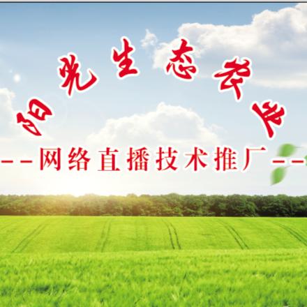 食安天下阳光生态农业店