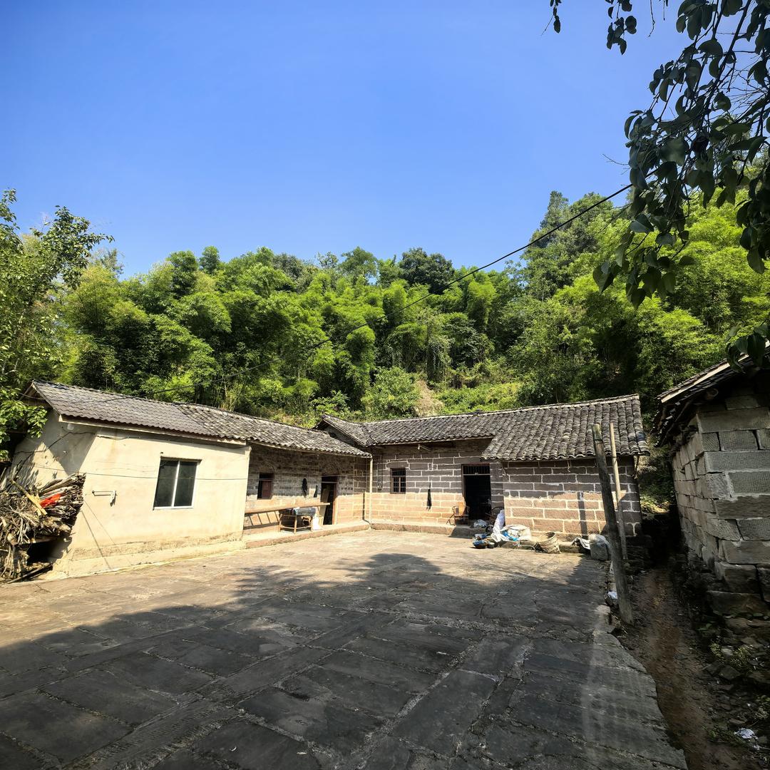 摸鱼(つ°ω°)つ🐟