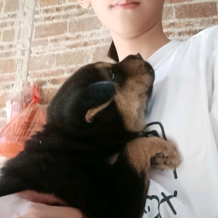 小可爱（奋斗版）