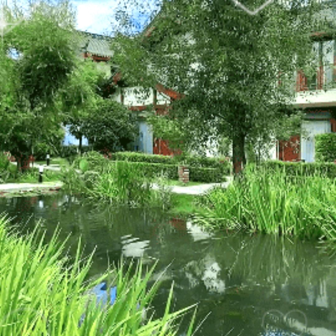 坤荣