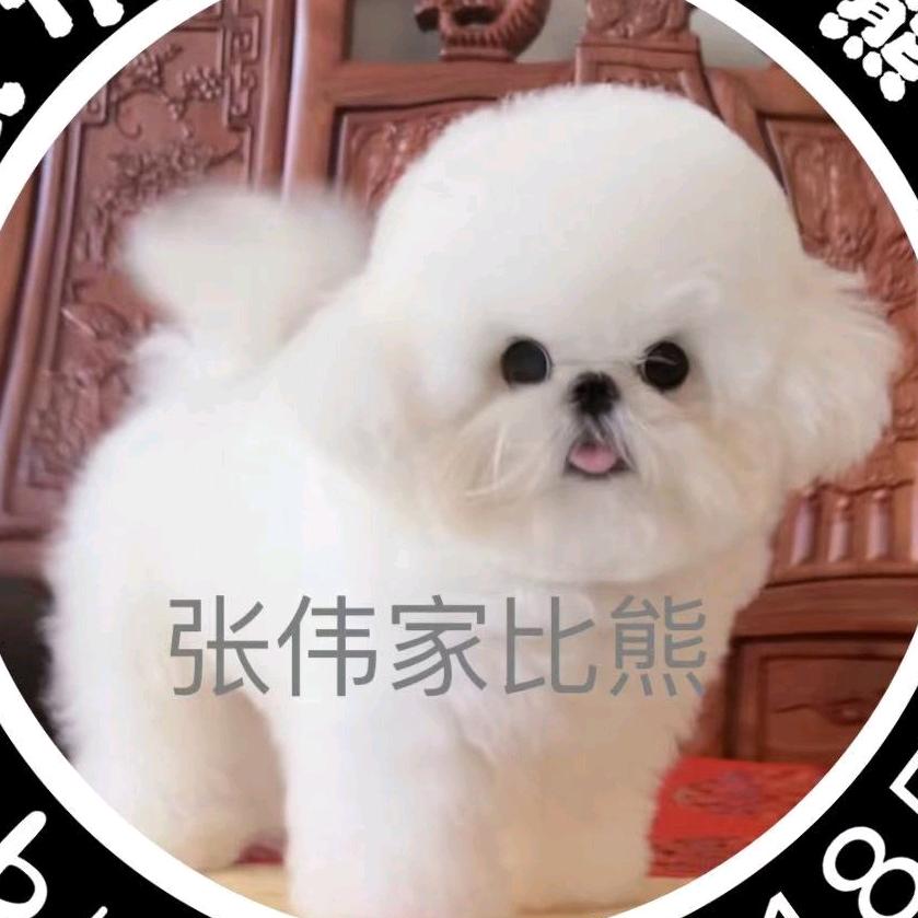 张伟犬业（小号）