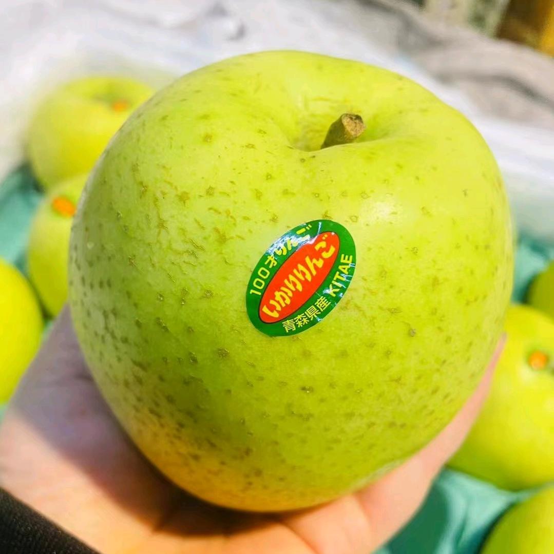 二连浩特市，王三果业，批发零售，