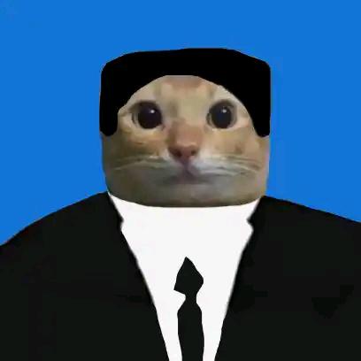 金正猫