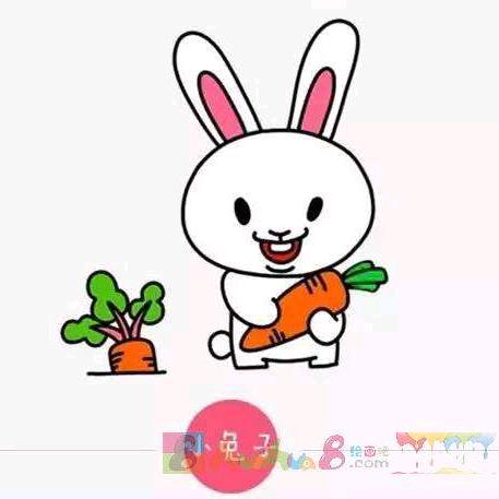 小兔子生鲜水果