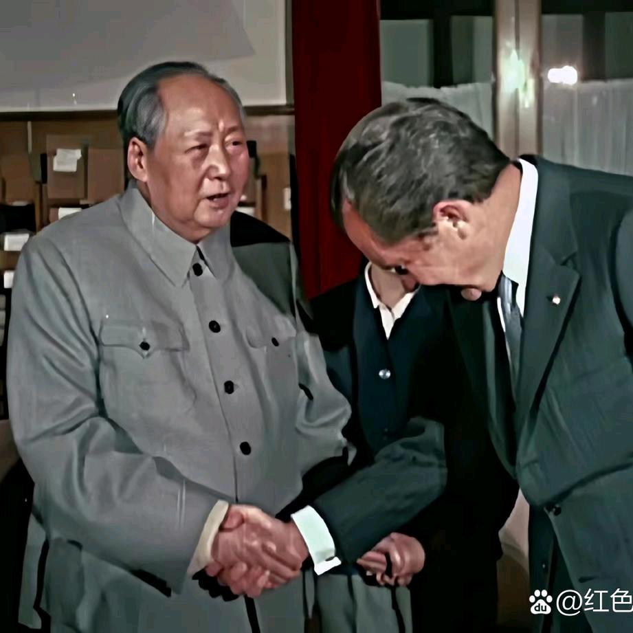 金鑫制作🇨🇳