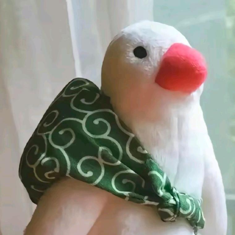 大虾不虾