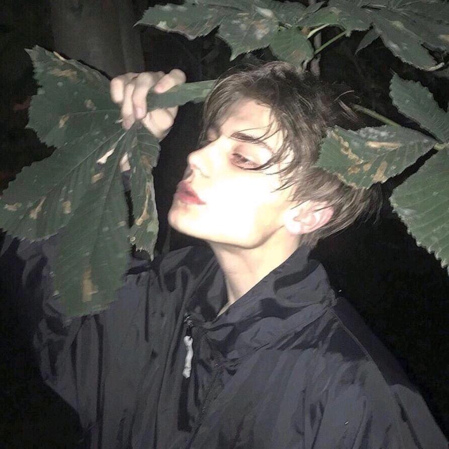 李.