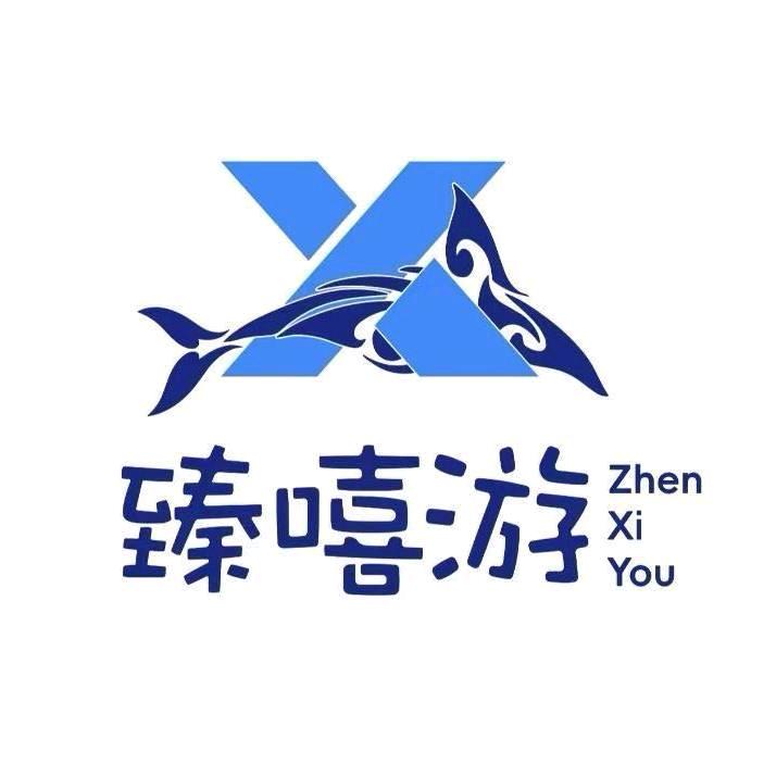 臻嘻游·百园部落网咖店长