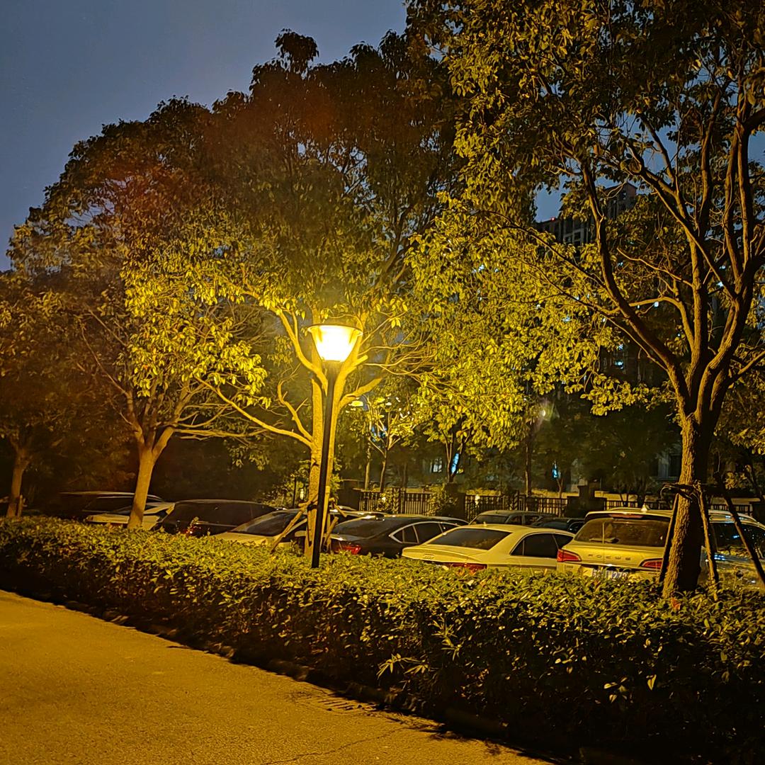 云Gi