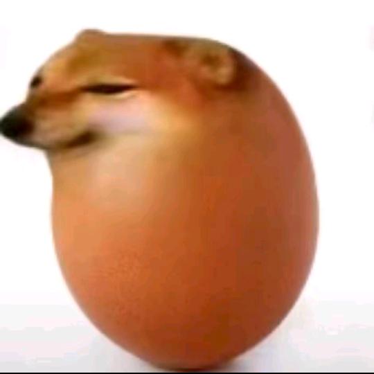 ik