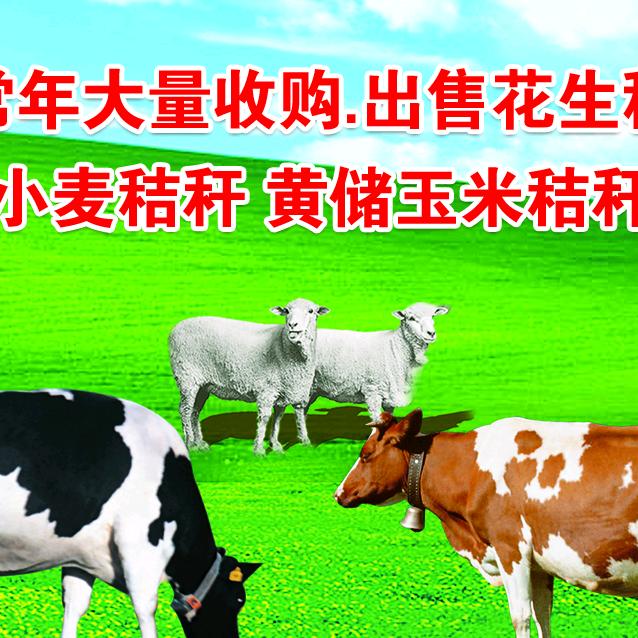 延津鑫利达草业